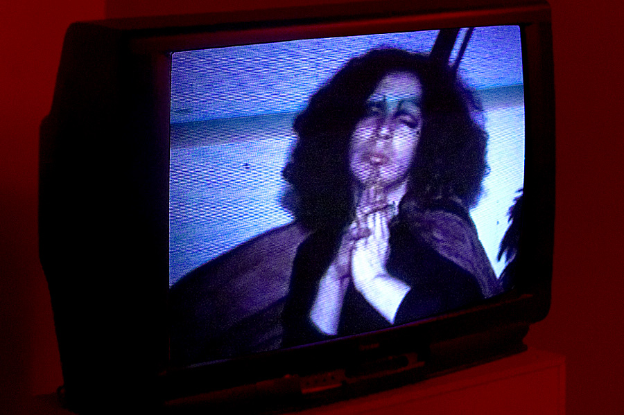 Films by Anton Perich and Ira Schneider- Hello Holly Woodlawn!